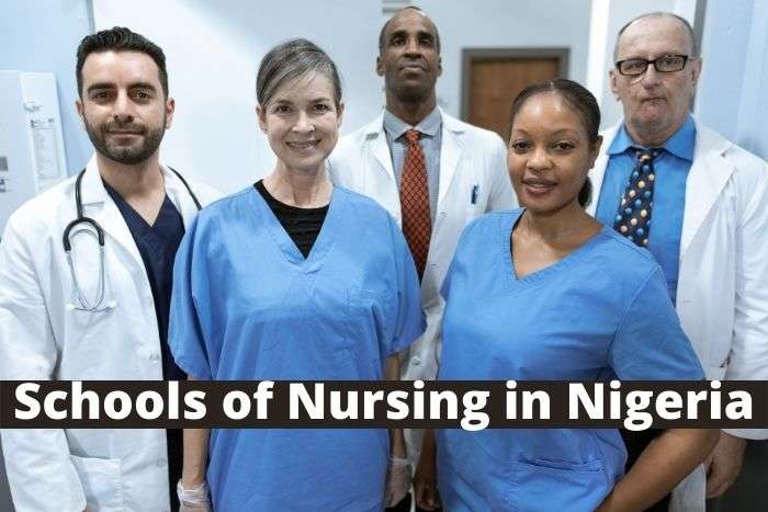 Top 20 Best Schools of Nursing in Nigeria